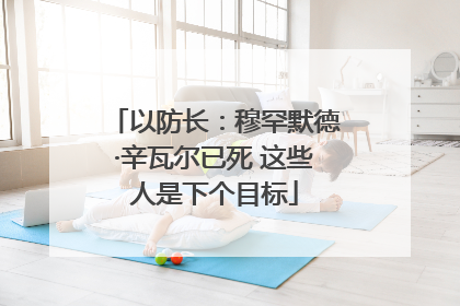 以防长：穆罕默德·辛瓦尔已死 这些人是下个目标