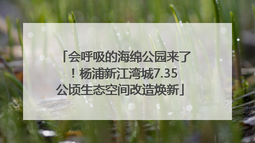 会呼吸的海绵公园来了！杨浦新江湾城7.35公顷生态空间改造焕新
