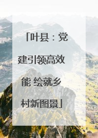 叶县：党建引领高效能 绘就乡村新图景