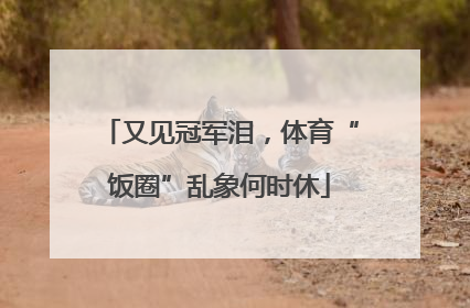 又见冠军泪，体育“饭圈”乱象何时休