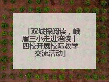 双城探阅读，峨眉三小走进涪陵十四校开展校际教学交流活动