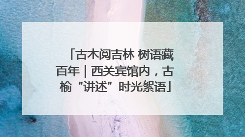 古木阅吉林 树语藏百年｜西关宾馆内，古榆“讲述”时光絮语