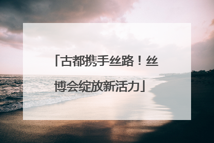 古都携手丝路！丝博会绽放新活力