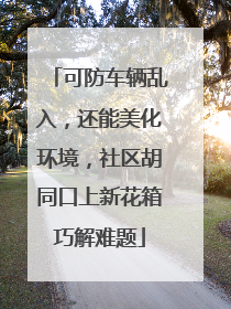 可防车辆乱入，还能美化环境，社区胡同口上新花箱巧解难题