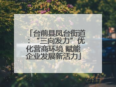 台前县凤台街道：“三向发力”优化营商环境 赋能企业发展新活力