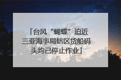 台风“蝴蝶”迫近 三亚海事局辖区货船码头均已停止作业