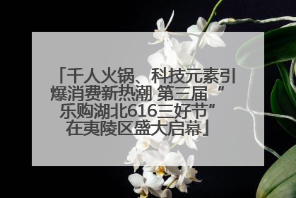 千人火锅、科技元素引爆消费新热潮 第三届“乐购湖北616三好节”在夷陵区盛大启幕