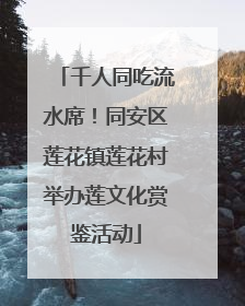 千人同吃流水席！同安区莲花镇莲花村举办莲文化赏鉴活动