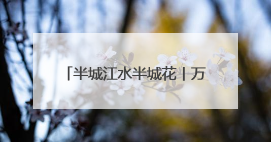 半城江水半城花丨万绿丛中一抹红！冰城锦带花进入盛花期