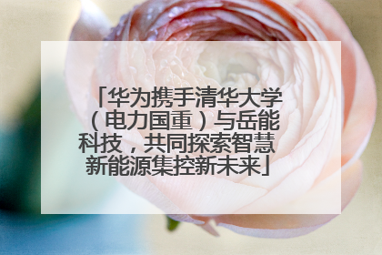 华为携手清华大学（电力国重）与岳能科技，共同探索智慧新能源集控新未来