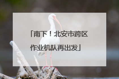 南下！北安市跨区作业机队再出发