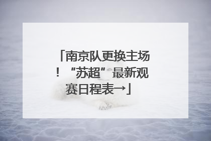 南京队更换主场！“苏超”最新观赛日程表→