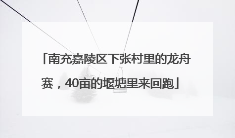 南充嘉陵区下张村里的龙舟赛，40亩的堰塘里来回跑