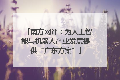 南方网评：为人工智能与机器人产业发展提供“广东方案”
