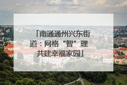 南通通州兴东街道：网格“智”理 共建幸福家园