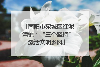 南阳市宛城区红泥湾镇：“三个坚持”激活文明乡风