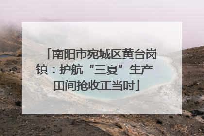 南阳市宛城区黄台岗镇：护航“三夏”生产 田间抢收正当时