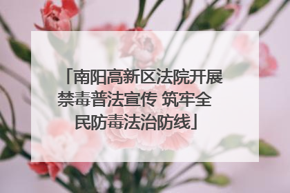 南阳高新区法院开展禁毒普法宣传 筑牢全民防毒法治防线