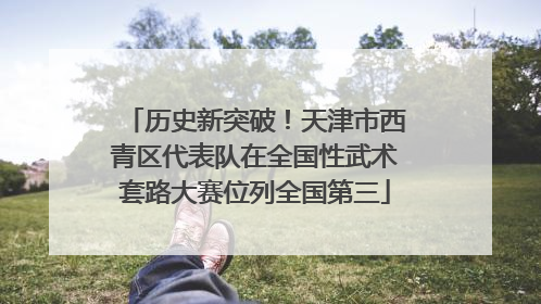 历史新突破！天津市西青区代表队在全国性武术套路大赛位列全国第三