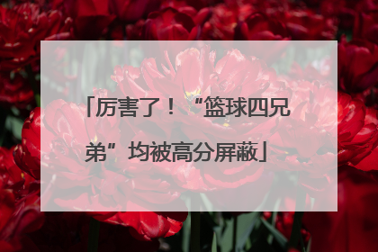 厉害了！“篮球四兄弟”均被高分屏蔽