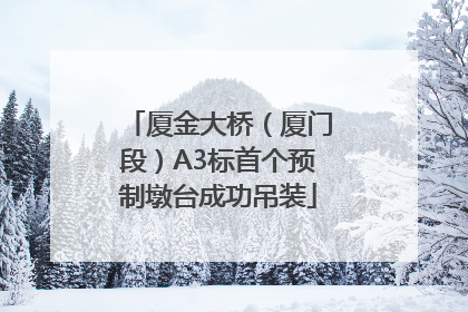 厦金大桥（厦门段）A3标首个预制墩台成功吊装