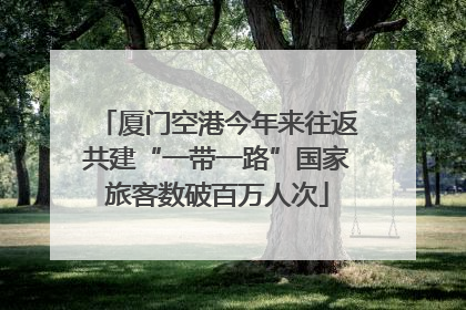 厦门空港今年来往返共建“一带一路”国家旅客数破百万人次