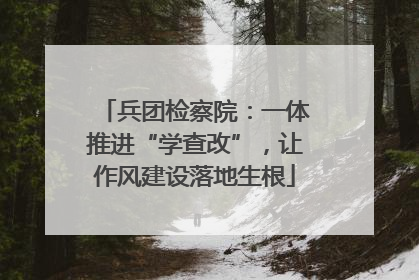 兵团检察院：一体推进“学查改”，让作风建设落地生根