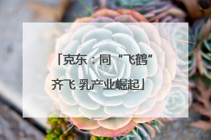 克东：同“飞鹤”齐飞 乳产业崛起