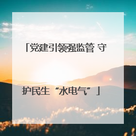 党建引领强监管 守护民生“水电气”