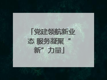 党建领航新业态 服务凝聚“新”力量