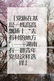 党旗在基层一线高高飘扬丨“去有村的地方”——湖南有一群青年党员这样选择