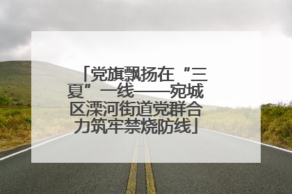 党旗飘扬在“三夏”一线——宛城区溧河街道党群合力筑牢禁烧防线
