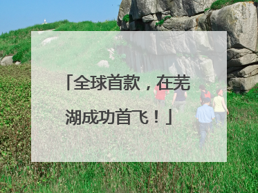 全球首款，在芜湖成功首飞！