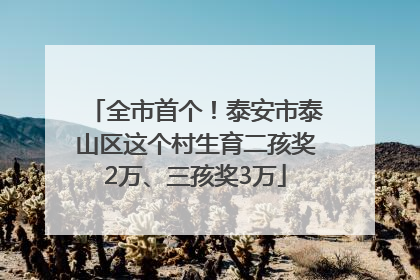 全市首个！泰安市泰山区这个村生育二孩奖2万、三孩奖3万
