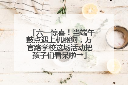 六一惊喜！当端午鼓点遇上机器狗，万官路学校这场活动把孩子们看呆啦→