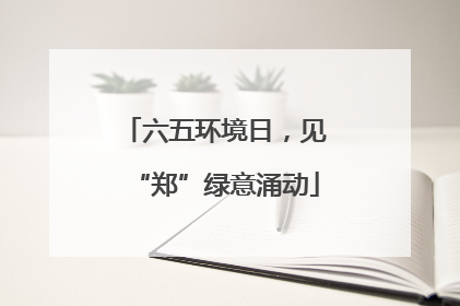 六五环境日，见“郑”绿意涌动
