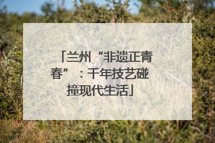 兰州“非遗正青春”：千年技艺碰撞现代生活