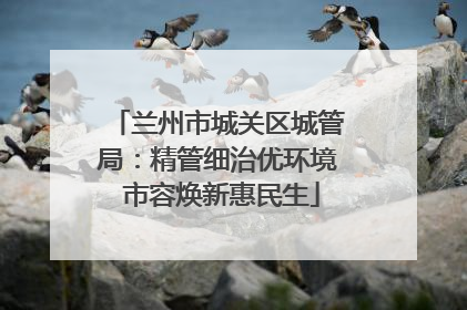 兰州市城关区城管局：精管细治优环境 市容焕新惠民生
