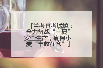兰考县考城镇：全力备战“三夏”安全生产，确保小麦“丰收在仓”