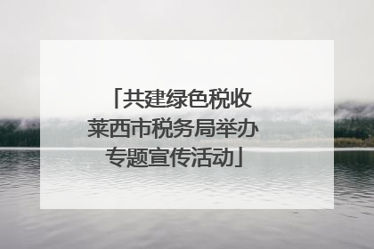 共建绿色税收 莱西市税务局举办专题宣传活动
