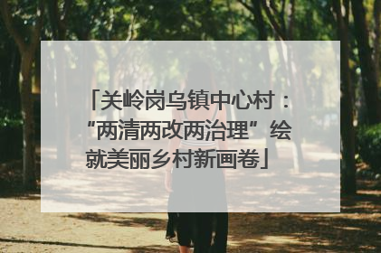关岭岗乌镇中心村：“两清两改两治理”绘就美丽乡村新画卷