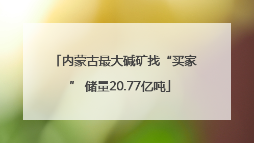 内蒙古最大碱矿找“买家” 储量20.77亿吨