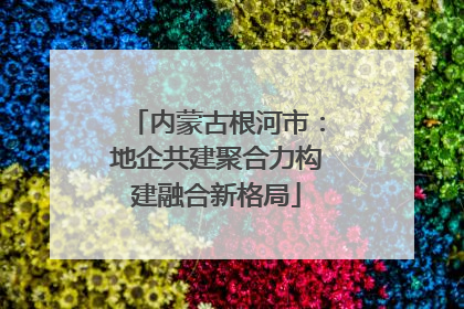 内蒙古根河市：地企共建聚合力构建融合新格局