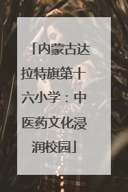 内蒙古达拉特旗第十六小学：中医药文化浸润校园