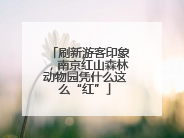 刷新游客印象，南京红山森林动物园凭什么这么“红”