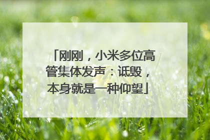 刚刚，小米多位高管集体发声：诋毁，本身就是一种仰望