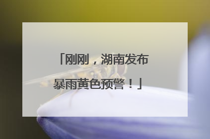 刚刚，湖南发布暴雨黄色预警！