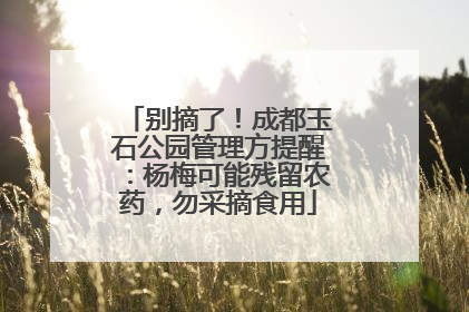 别摘了！成都玉石公园管理方提醒：杨梅可能残留农药，勿采摘食用