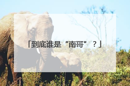到底谁是“南哥”？