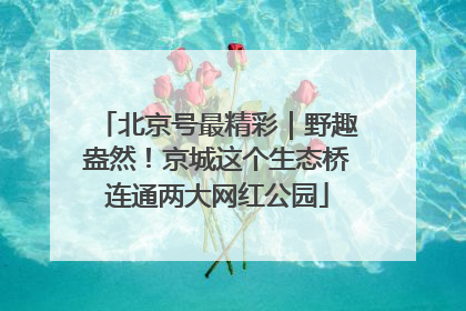 北京号最精彩｜野趣盎然！京城这个生态桥连通两大网红公园